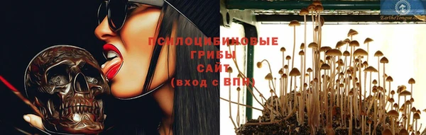 MESCALINE Верея