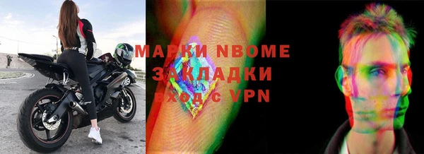 прущие грибы Вязники