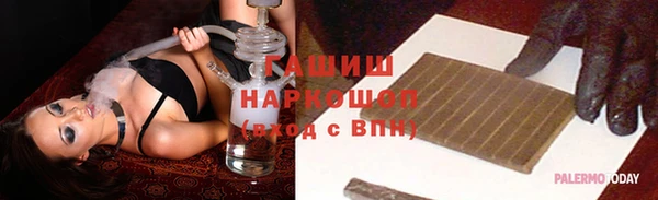 прущие грибы Вязники