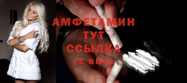 прущие грибы Вязники