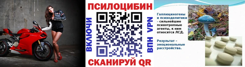 закладки  Истра  Псилоцибиновые грибы мицелий 